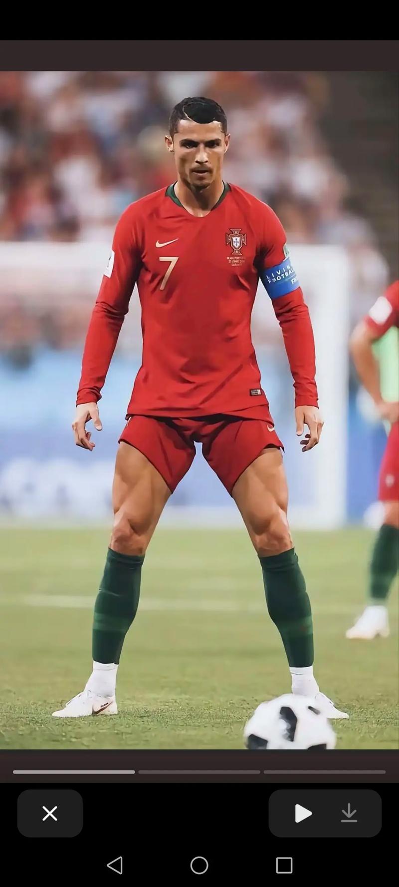 维希涅夫斯基：主场对阵荷兰是梦想，上场吃牌是因不懂规则（维希涅夫斯基：主场迎战荷兰是梦想，上场染黄因不熟规则）